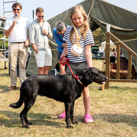 Dog Show
