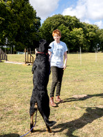 Dog Show