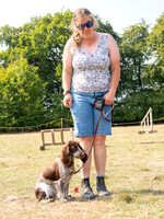 Dog Show