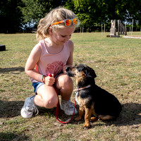 Dog Show