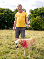 Dog Show