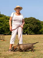 Dog Show