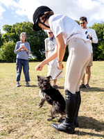 Dog Show